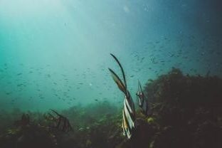 Jeremy Bishop profile portrait