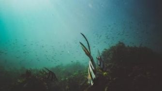 Jeremy Bishop profile portrait