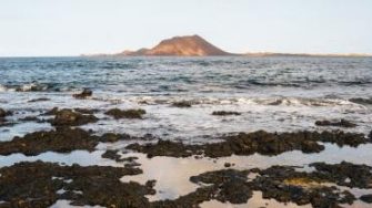 Jorge Fernandez profile portrait