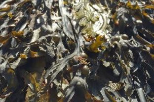 Lauren Probyn profile portrait