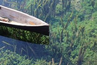 Pahala Basuki profile portrait