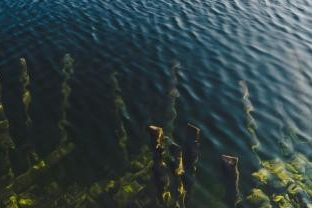 Thomas Peham profile portrait