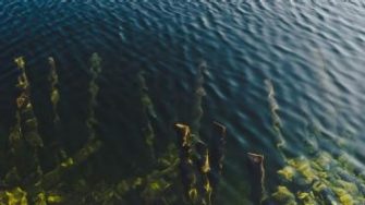 Thomas Peham profile portrait