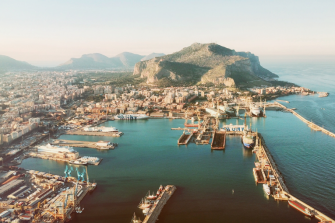 Marine urban ecology