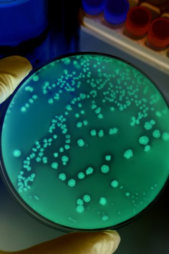Close up of network data flowing through nanowires.