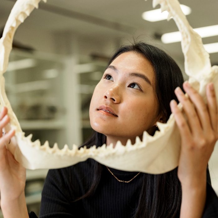 Students learning in the Science facilities at the UNSW Kensington campus