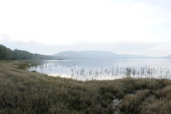 Grassland with misty lake and small hills in the background