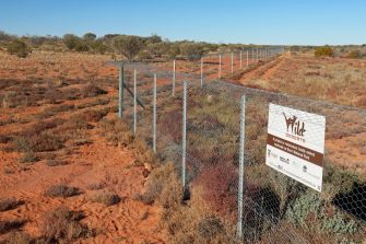Photo of fence built by Wild Deserts project