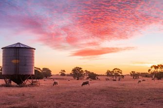 Sunset over a sheep farm in outback Victoria Australia