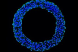 Killian group background image