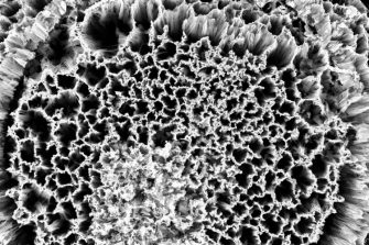 black and white crystal lattice