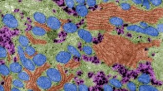 colour nano structure