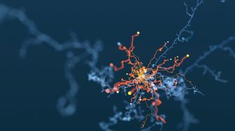 Abstract curly tendrils background.