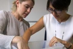 Arachnophobia therapy