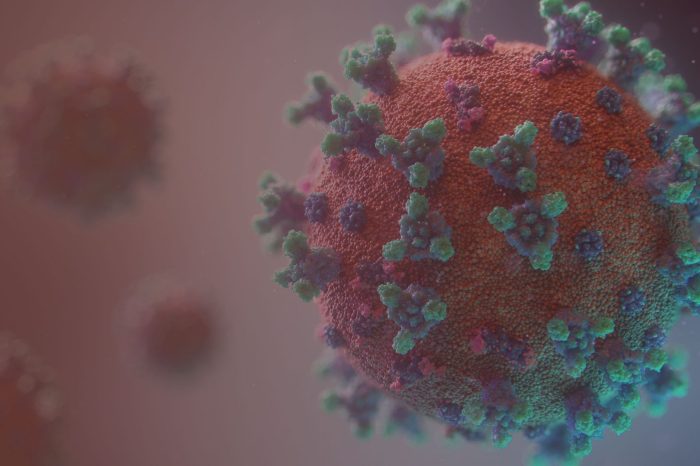 Fusion medical animation