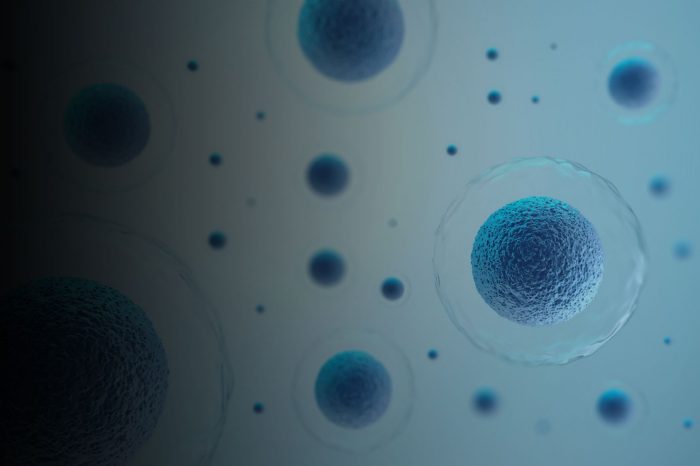 3d rendering of human cells