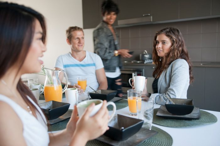 UNSW Village, student accommodation Gate 2, High Street