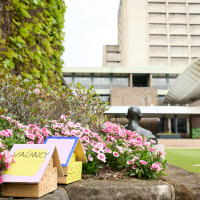 Bee Hotels with The Producers