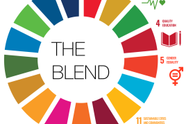 THE BLEND: Combining the Different Flavors of Diversity @UNSW