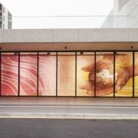 Celebrating UNSW Women on Campus