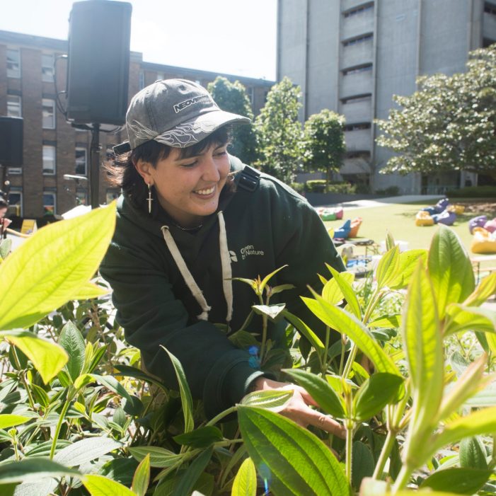 Diversity Festival 2025 Images