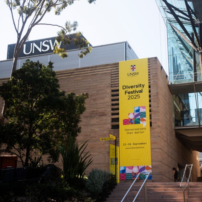 Diversity Festival 2025 Images