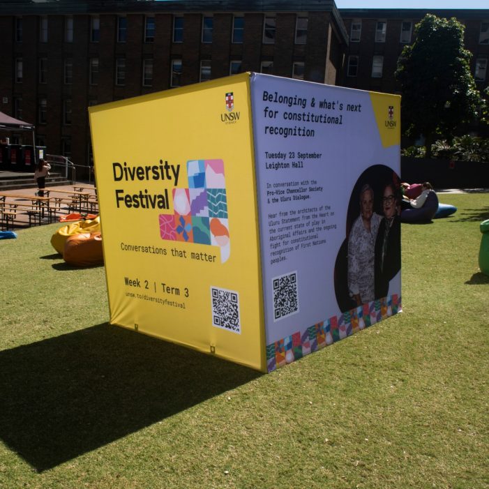 Diversity Festival 2025 Images