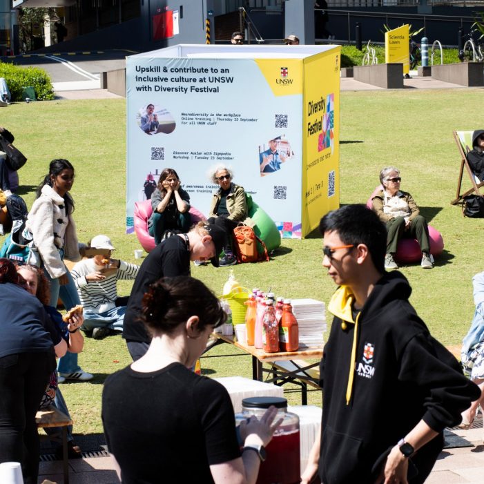 Diversity Festival 2025 Images