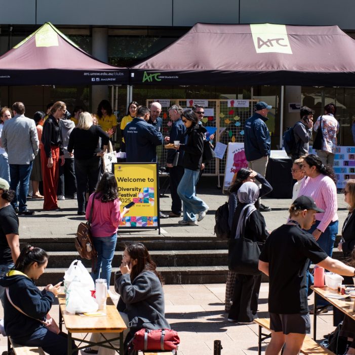 Diversity Festival 2025 Images