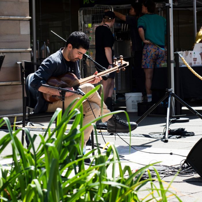 Diversity Festival 2025 Images