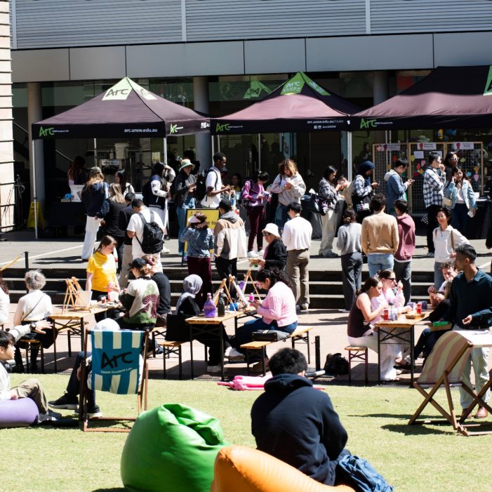 Diversity Festival 2025 Images