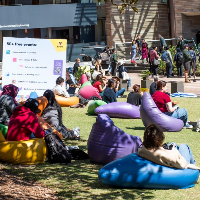 Diversity Festival 2025 Images