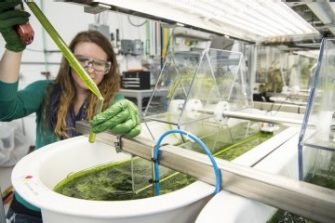 WiRN: Women in Research Network