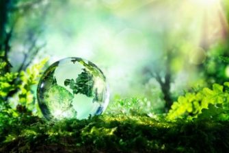 Stock image representing sustainability