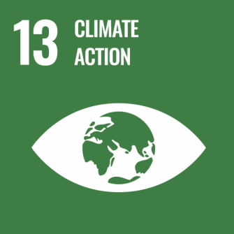 UN Sustainable Development Goals icon 13: Climate Action