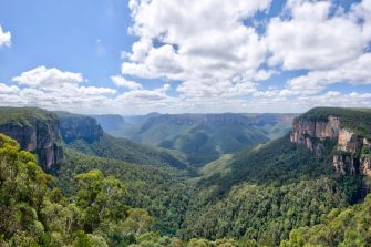 Protect, restore and promote sustainable use of terrestrial ecosystems, sustainably manage forests, combat desertification, and halt and reverse land degradation and halt biodiversity loss