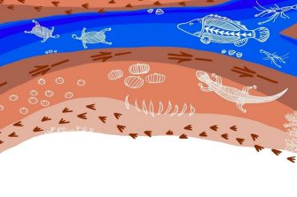 Food and Water for Life logo