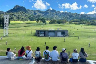 UNSW Employability CDEV3300 Global Practice of Work