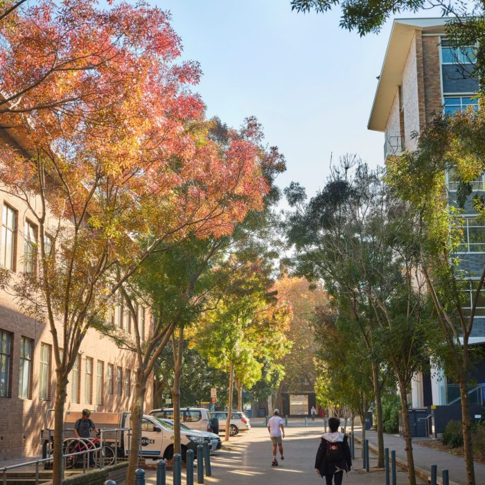 Autumn Colour Kensington Campus