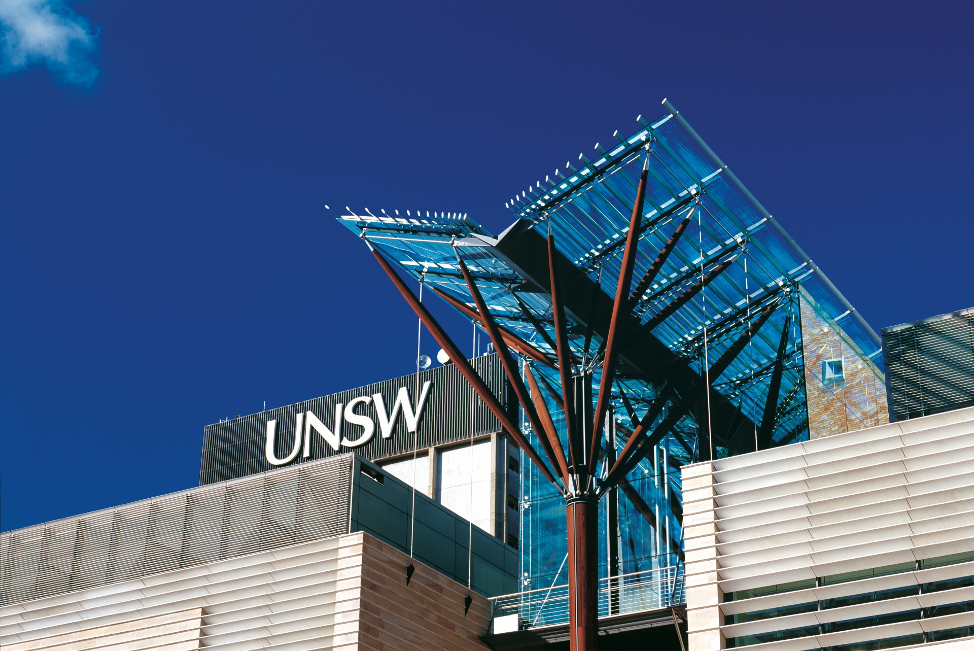 John Niland Scientia