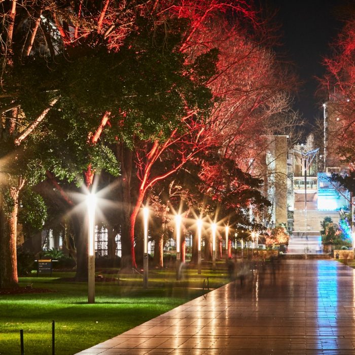 UNSW Kensington campus with coloured lighting to acknowlegde Naidoc week.