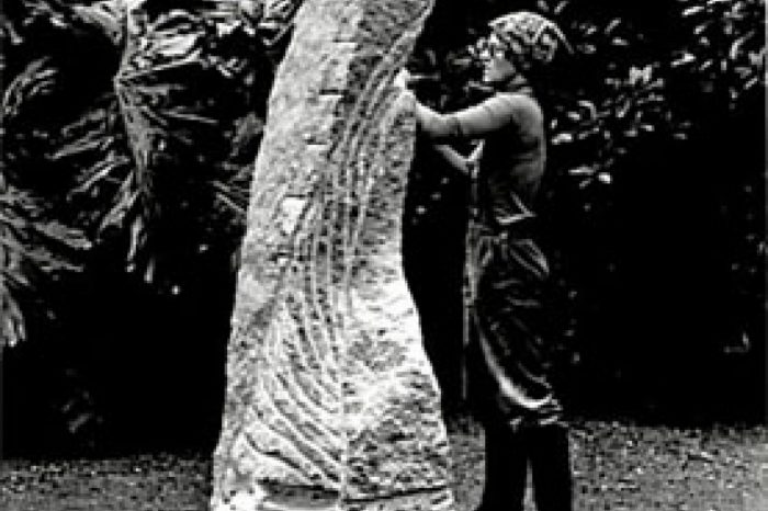 Anne Ferguson - Waterfall