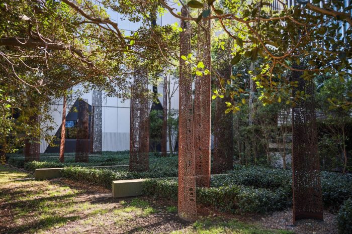 Kate Cullity - Seeing the wood for the trees