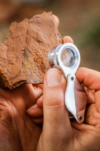 Ancient fossils with a magnifying glass