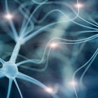 3D rendered image of a neuro network