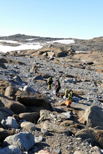 Mitchell Peninsula with a view downslope towards the ocean.