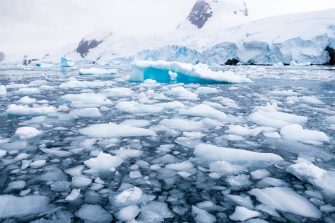 Ice floating the arctic