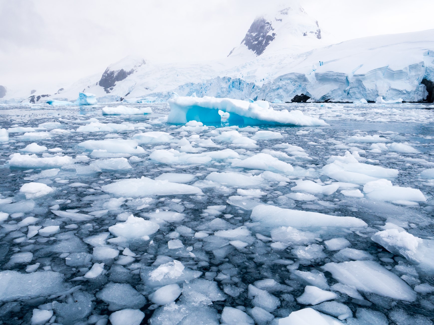 Ice floating the arctic