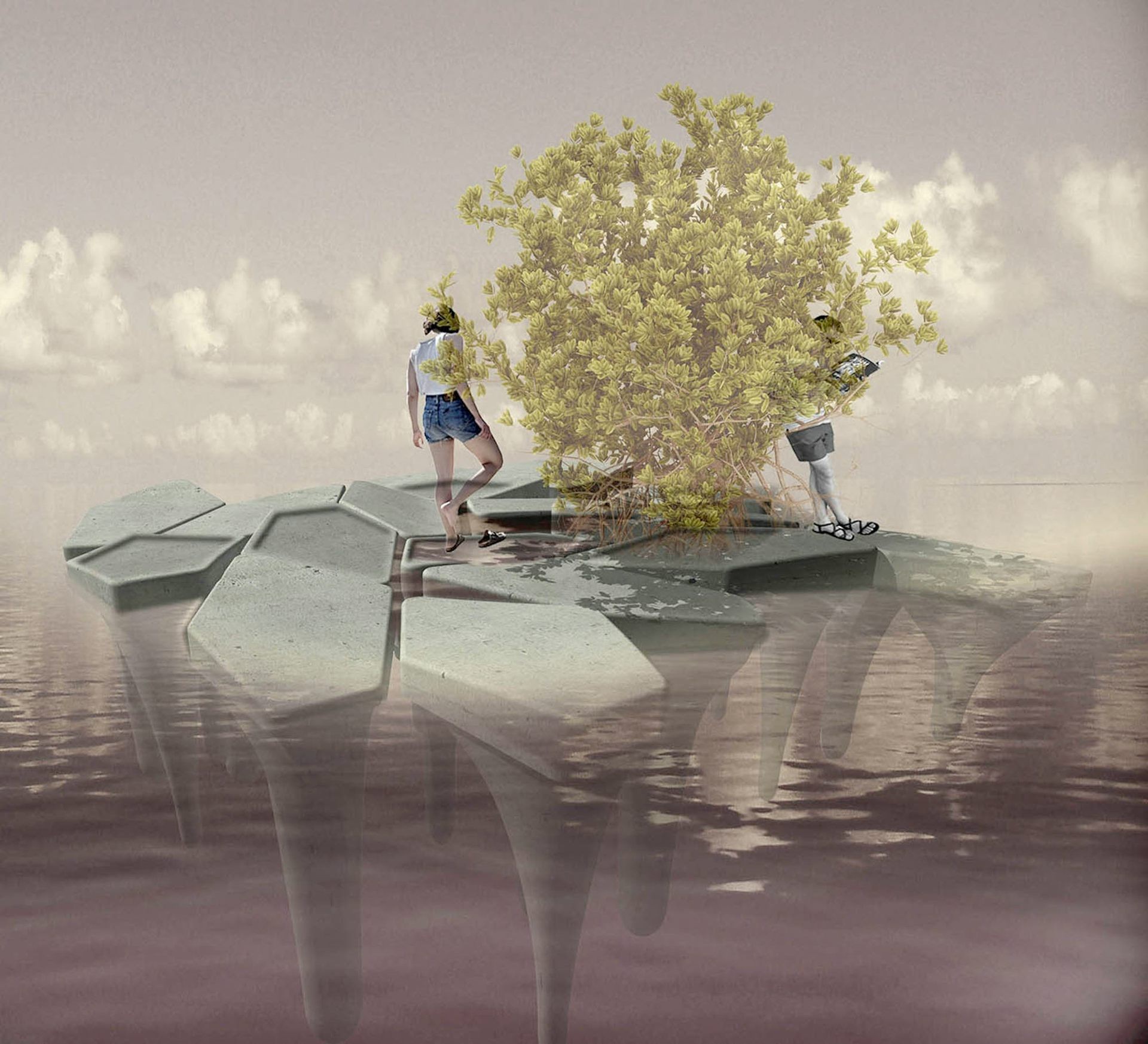 a person walks next a mangrove bush on floating pentagonal plastic platforms