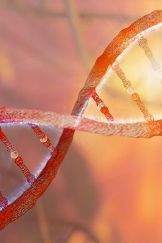 Sickle cell anemia as a red blood disease as a normal and abnormal hemoglobin anatomy medical illustration concept.